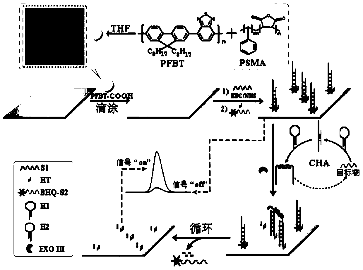 Modified electrodes, combined products and their electrochemiluminescent biosensors and applications