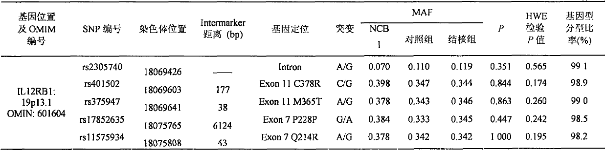 Application of single nucleotide polymorphism rs2305740 in il12rb1 gene in detecting tuberculosis susceptibility