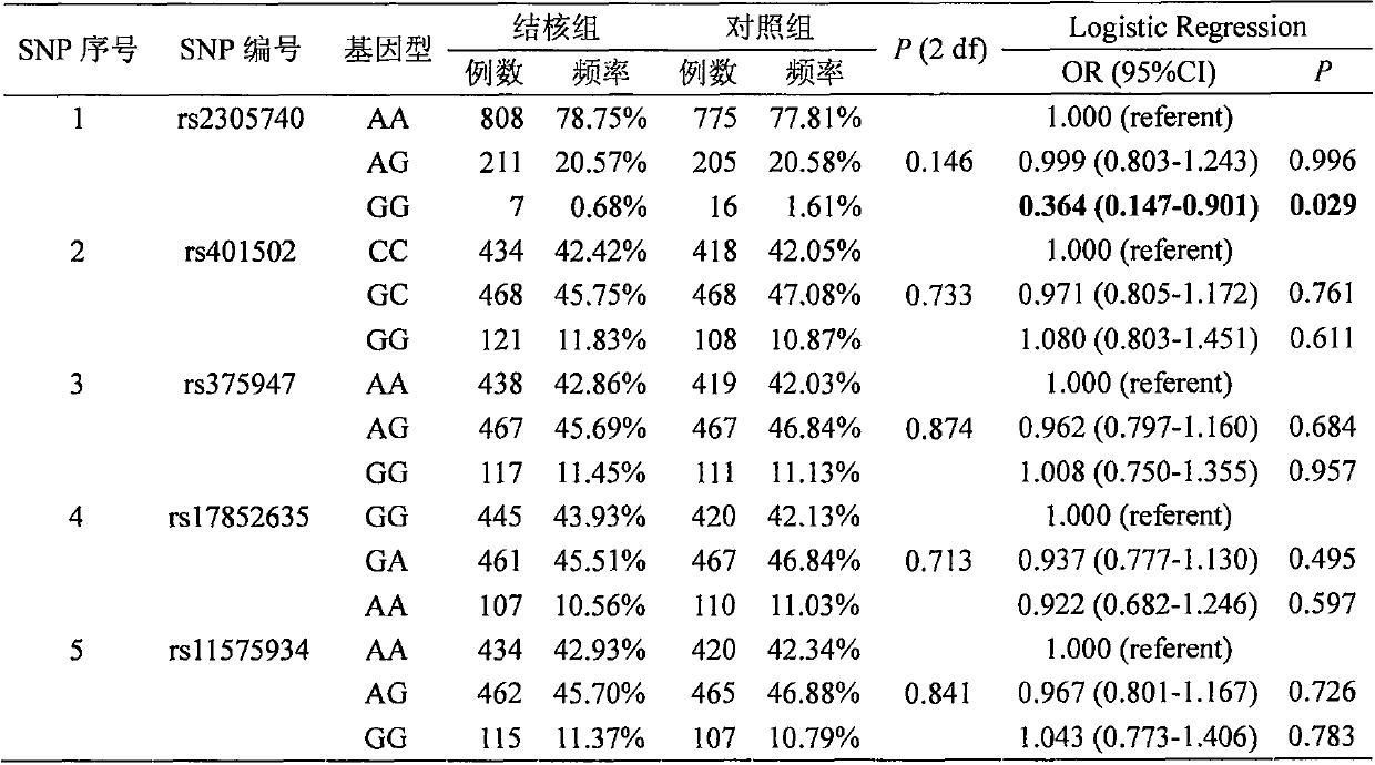 Application of single nucleotide polymorphism rs2305740 in il12rb1 gene in detecting tuberculosis susceptibility