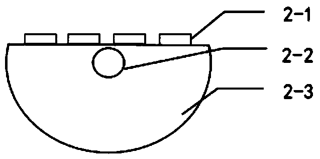 Online molecular detector based on D-shaped optical fibers and nano-ring cavities and making method of molecular detector