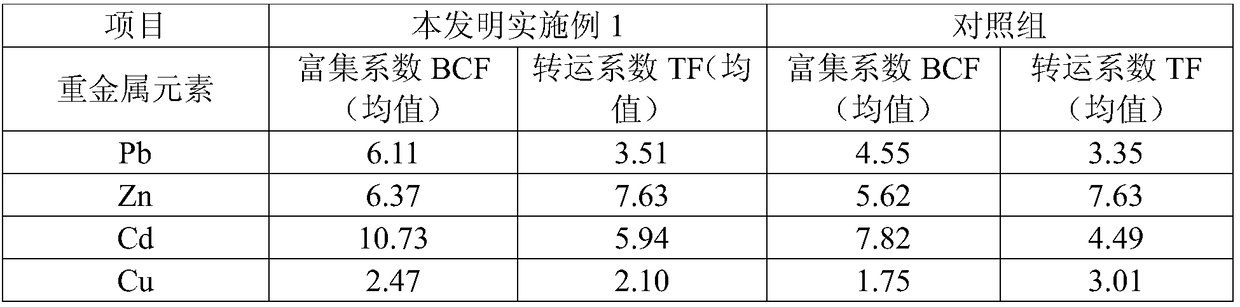 Method of governing Pb-Zn-Cd-Cu heavy metal polluted soil in super-enriched plant assisted intensified combined remediation mode