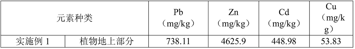 Method of governing Pb-Zn-Cd-Cu heavy metal polluted soil in super-enriched plant assisted intensified combined remediation mode