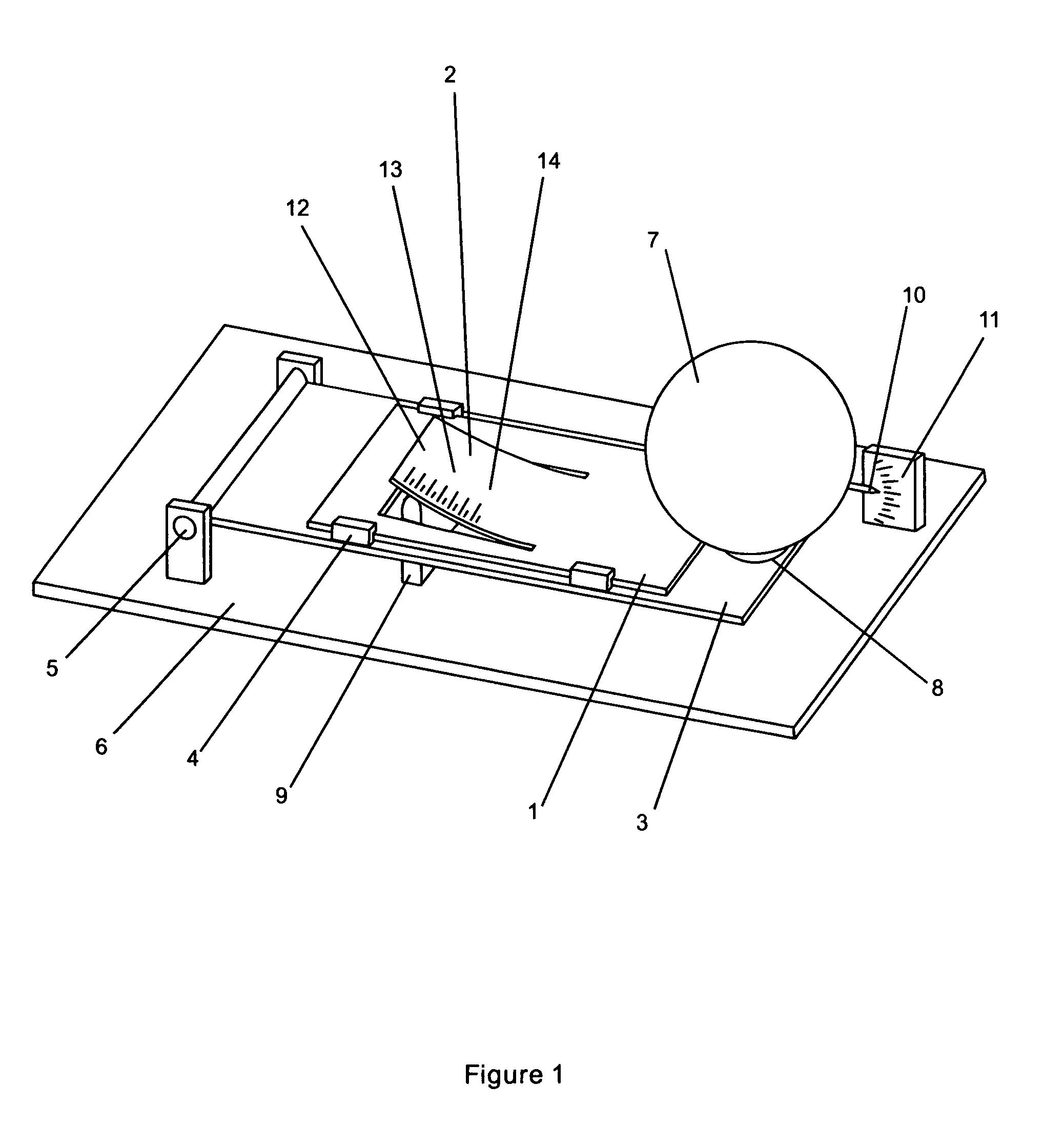 Apparatus for determining relative density of produce using weighing and size measuring
