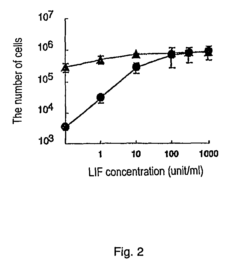 Medium for ES culturing