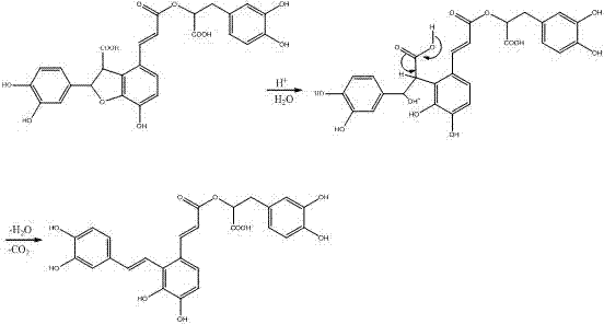 Preparation method of high-purity salvianolic acid A