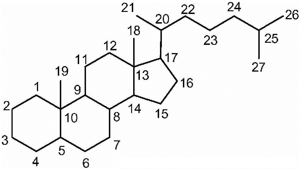 Synthetic bile acid composition, method, and preparation