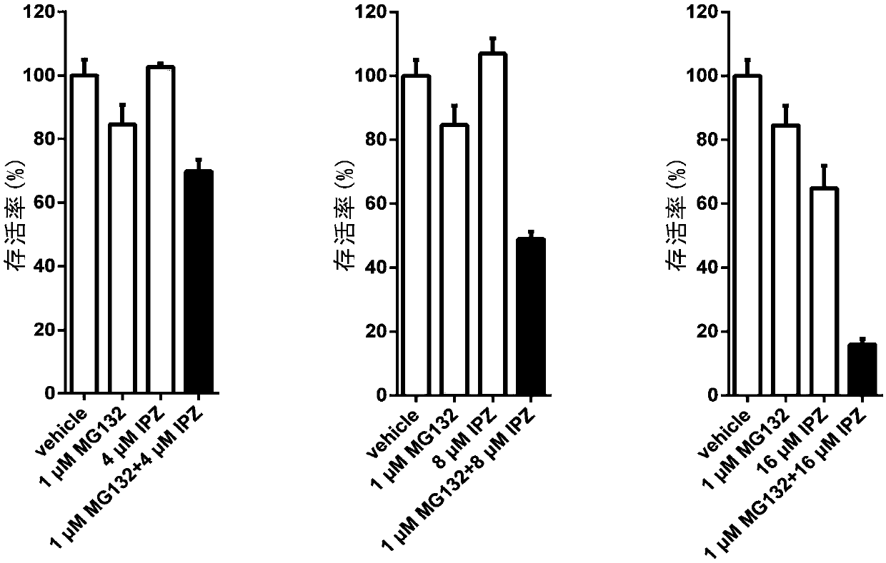 Application of KPNB1 inhibitor and protein degradation pathway inhibitor in preparation of anti-tumor drugs