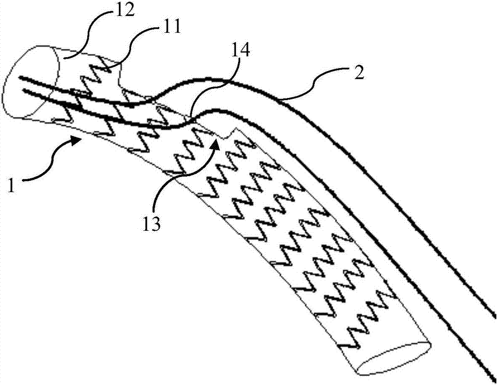 Aorta covered stent