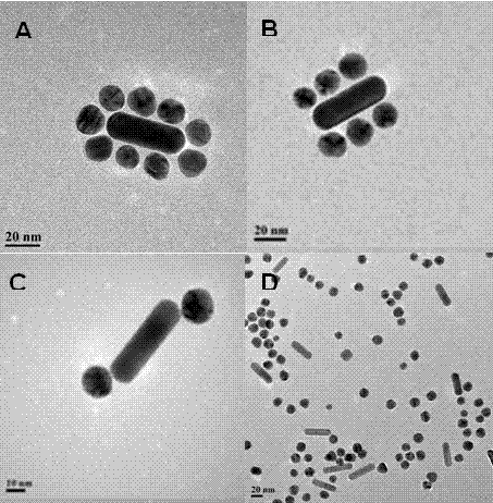 A method for surface-enhanced Raman detection of cancer cells based on self-assembled materials