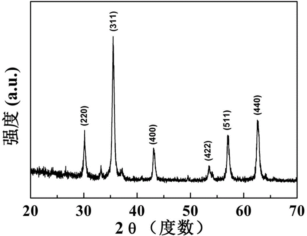 Preparation method of targeted MRI (magnetic resonance imaging) contrast medium based on folic acid modified iron oxide nanoparticles