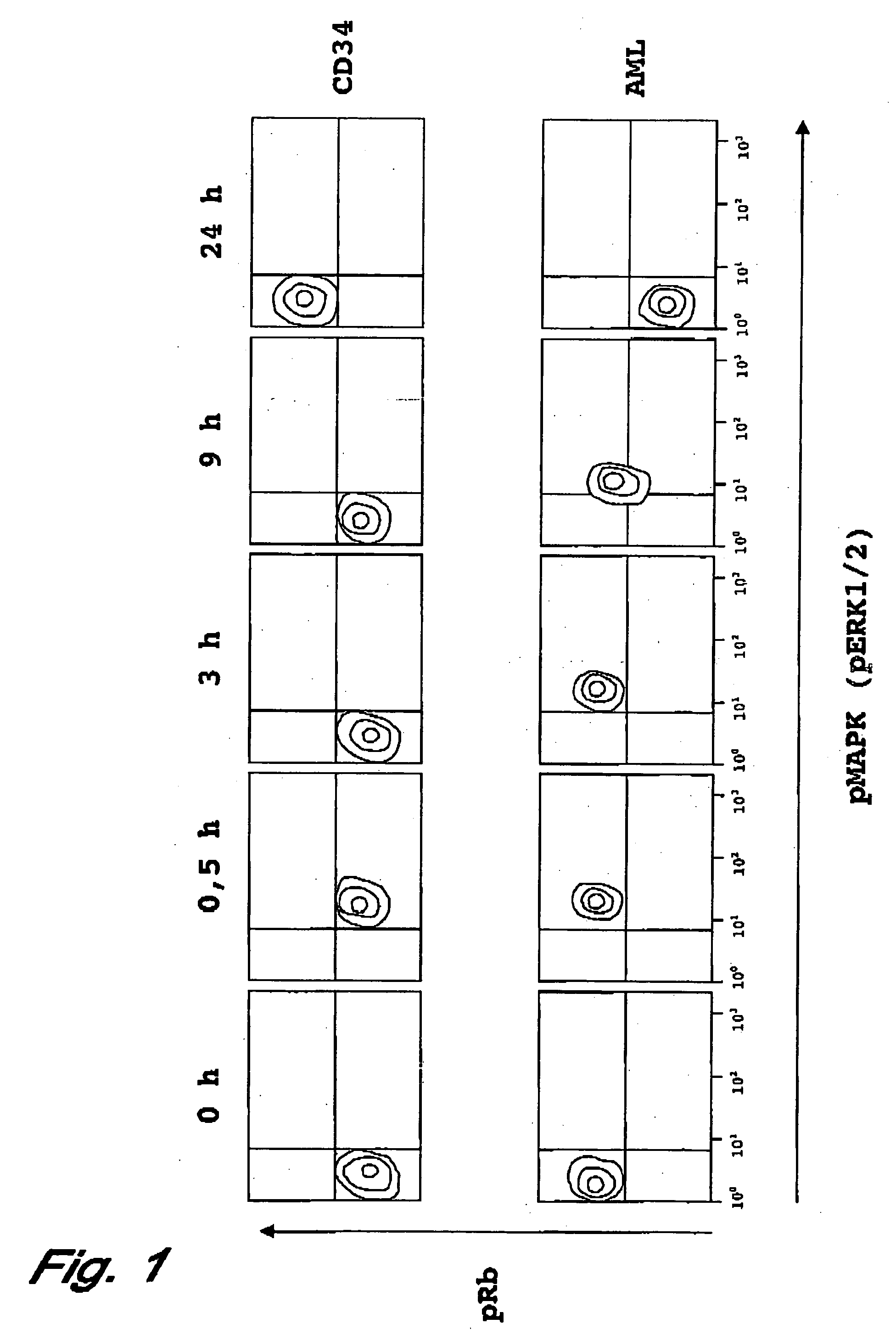 Treatment of transformed or infected biological cells