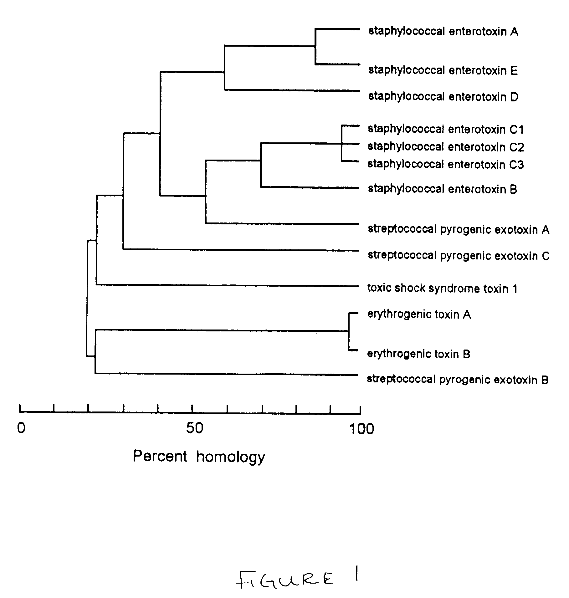 Altered superantigen toxins