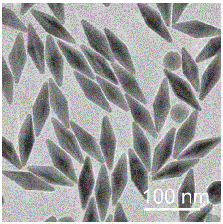 Preparing method for gold nanometer bipyramids