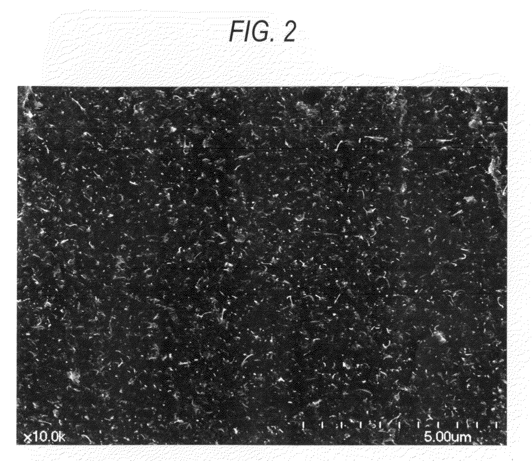 Carbon fiber composite material and process for producing the same