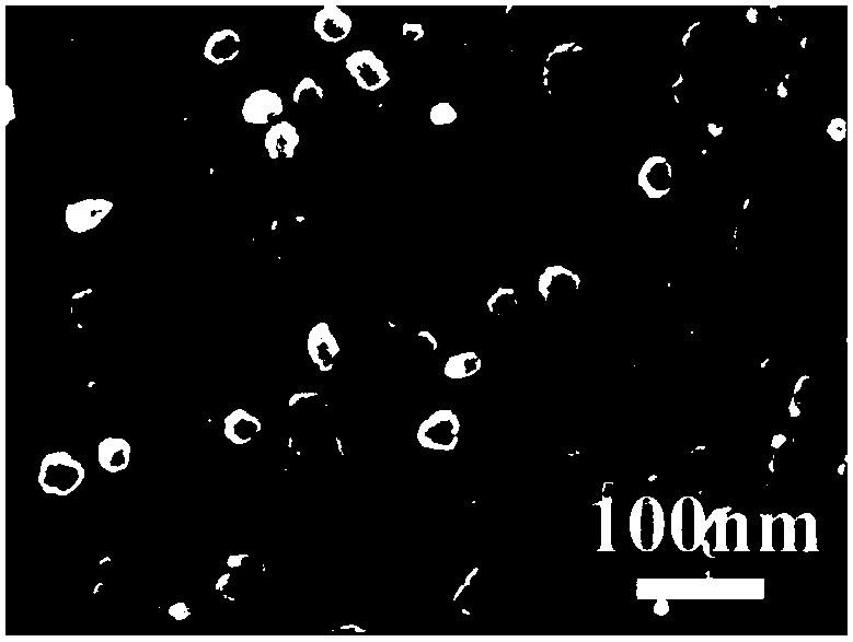 Nano dual-phase composite permanent magnet particles and preparation method thereof