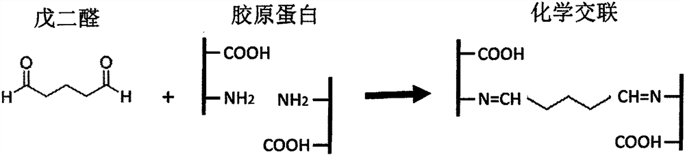 A method for improving calcification of artificial biological valve by means of coating