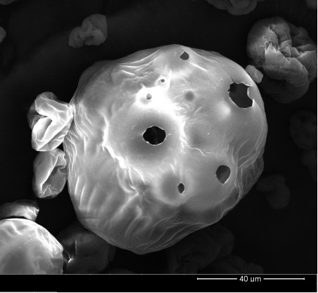 Traditional Chinese medicine porous core-shell type composite particle powder as well as preparation method and application thereof