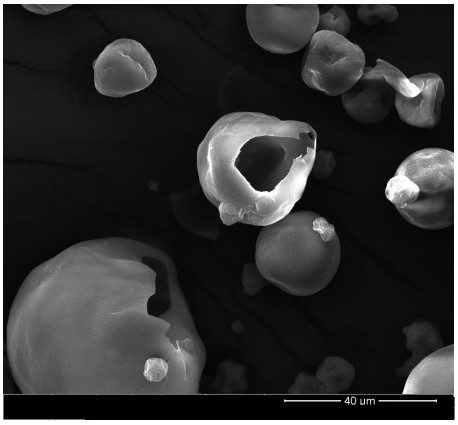 Traditional Chinese medicine porous core-shell type composite particle powder as well as preparation method and application thereof