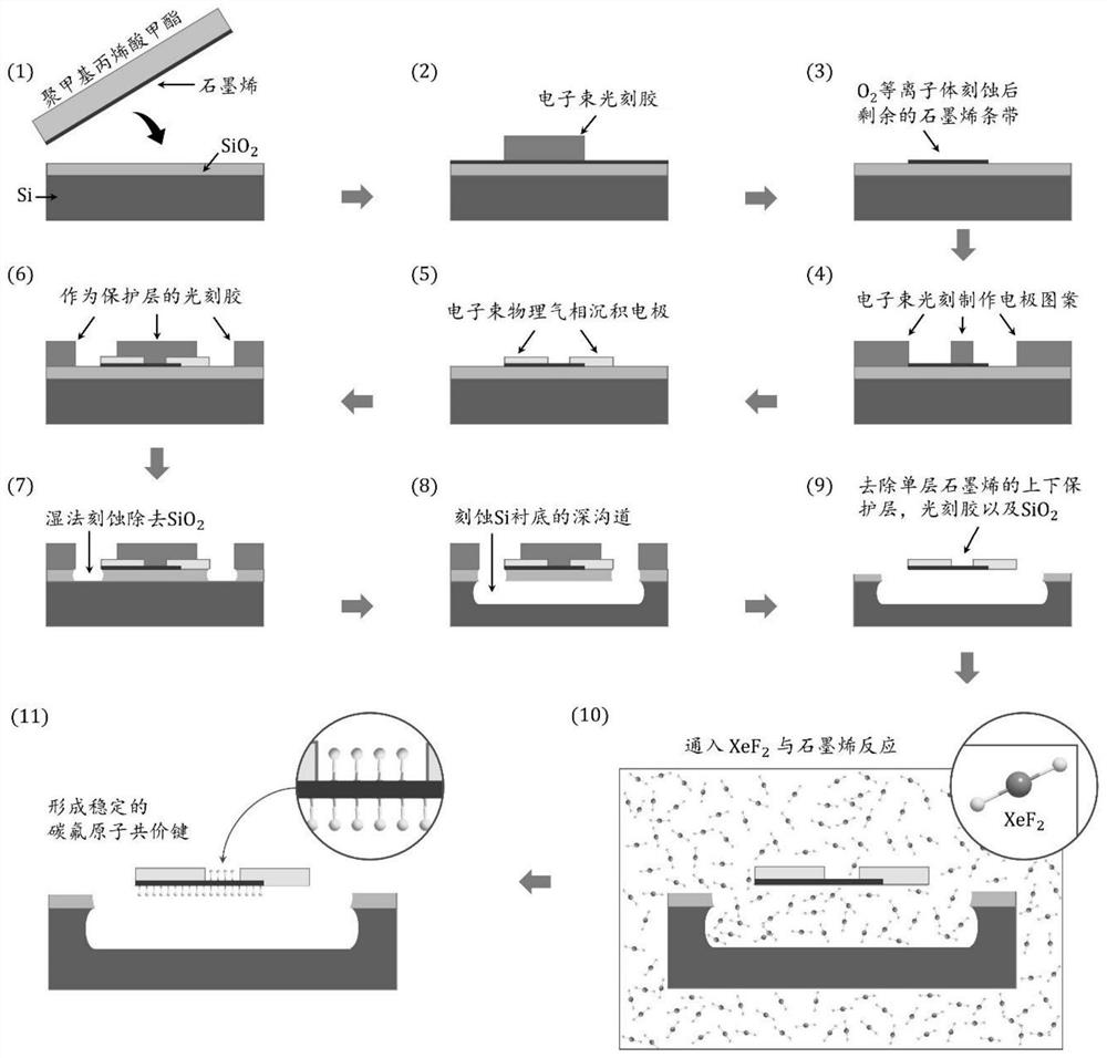 Single-layer fluorinated graphene Schottky diode and preparation method and application thereof