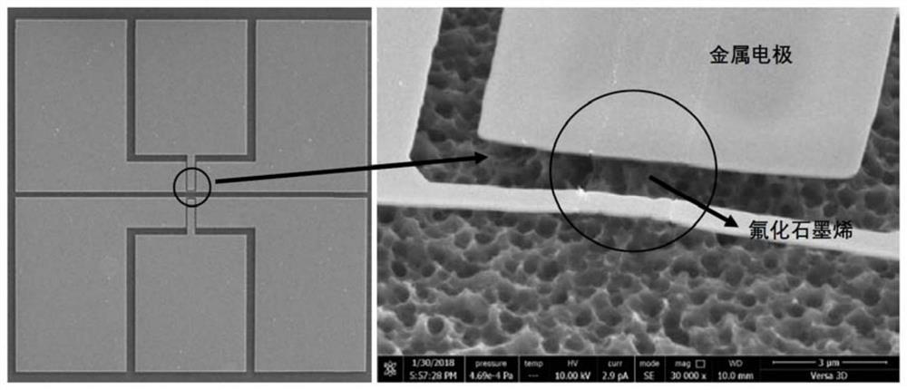 Single-layer fluorinated graphene Schottky diode and preparation method and application thereof