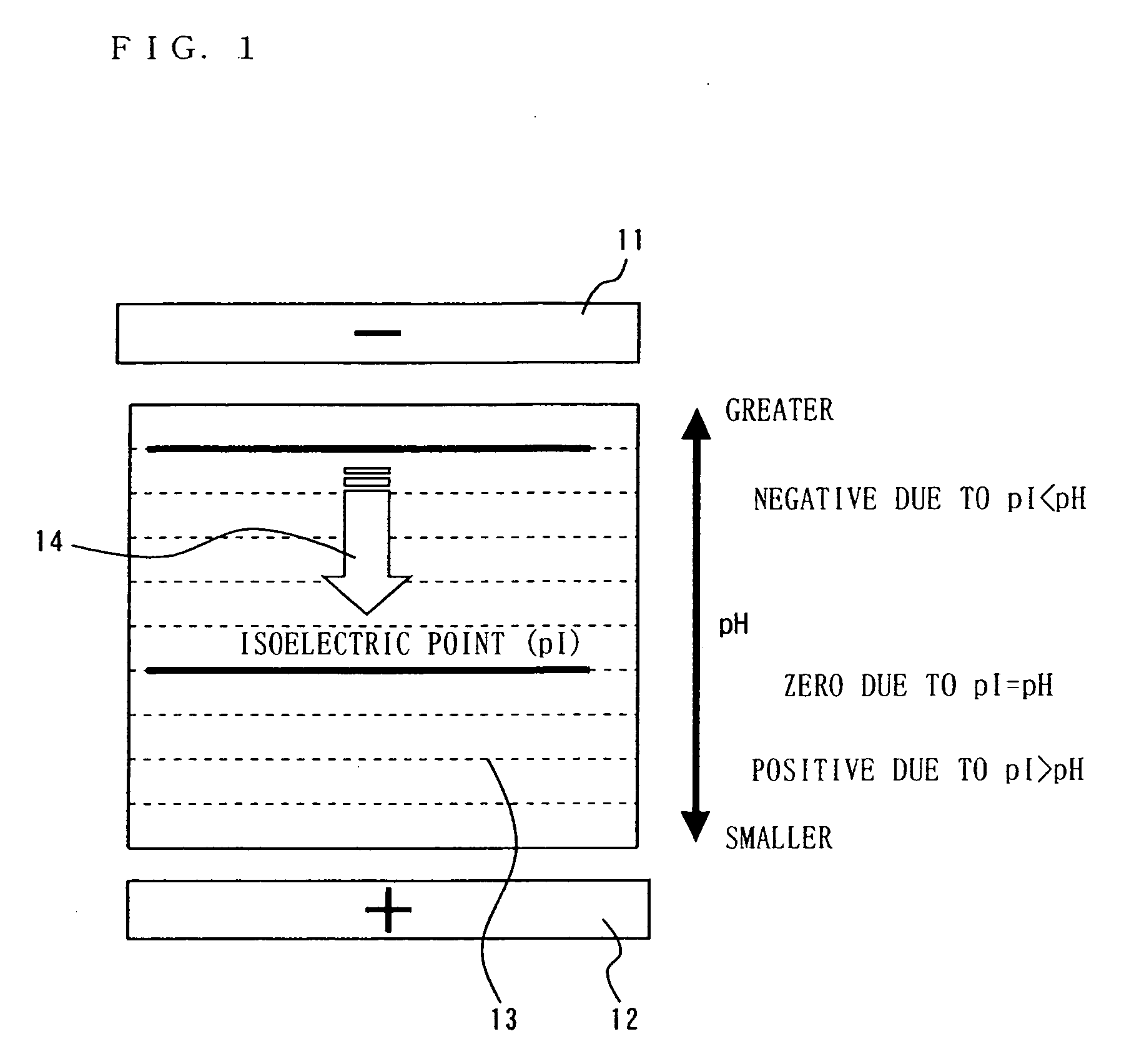 Method of immunoreaction measurement and, for use therein, reagent, kit and optical cell