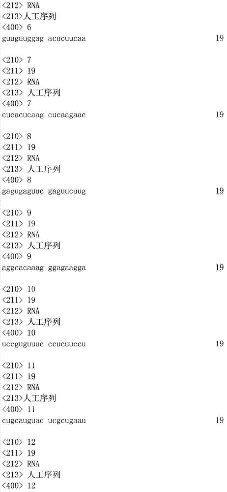 Chitosan nano particle, biological pesticide preparation for controlling cabbage moths and preparation method thereof