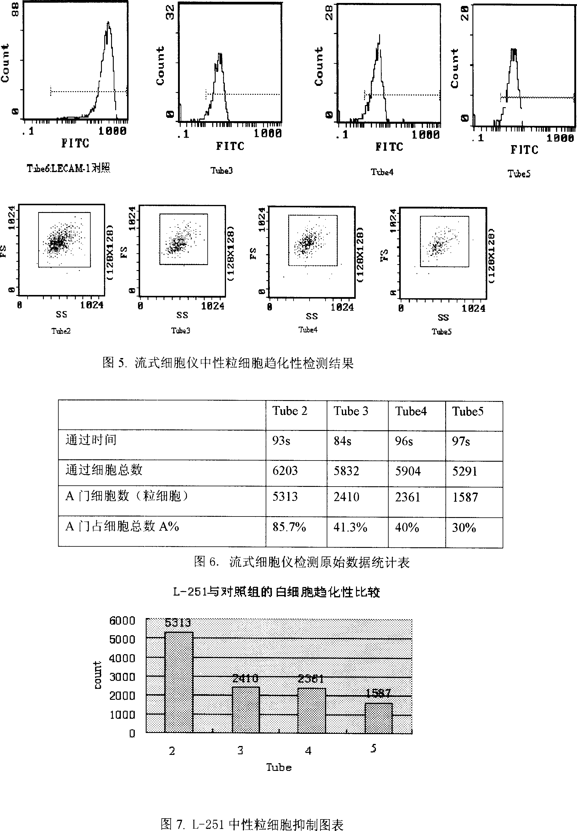 Recombinant L-251 protein with anti-inflammatory effect secreted by Japanese lamprey oral gland