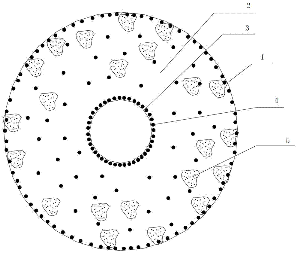 Bacteria-immobilized hollow fiber polysulfone film for degradation of high concentration tetrachlorphenoxide, and preparation method thereof