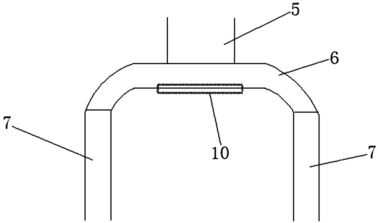 Orientating apparatus for live fish