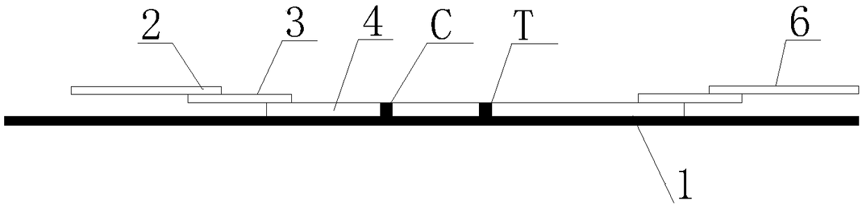 Combined detection test strip for heavy metal and creatinine, and preparation method and application thereof