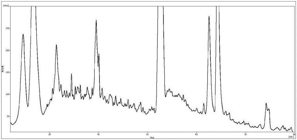 Molecular marker detecting ischemic cerebralvascular accident and application thereof