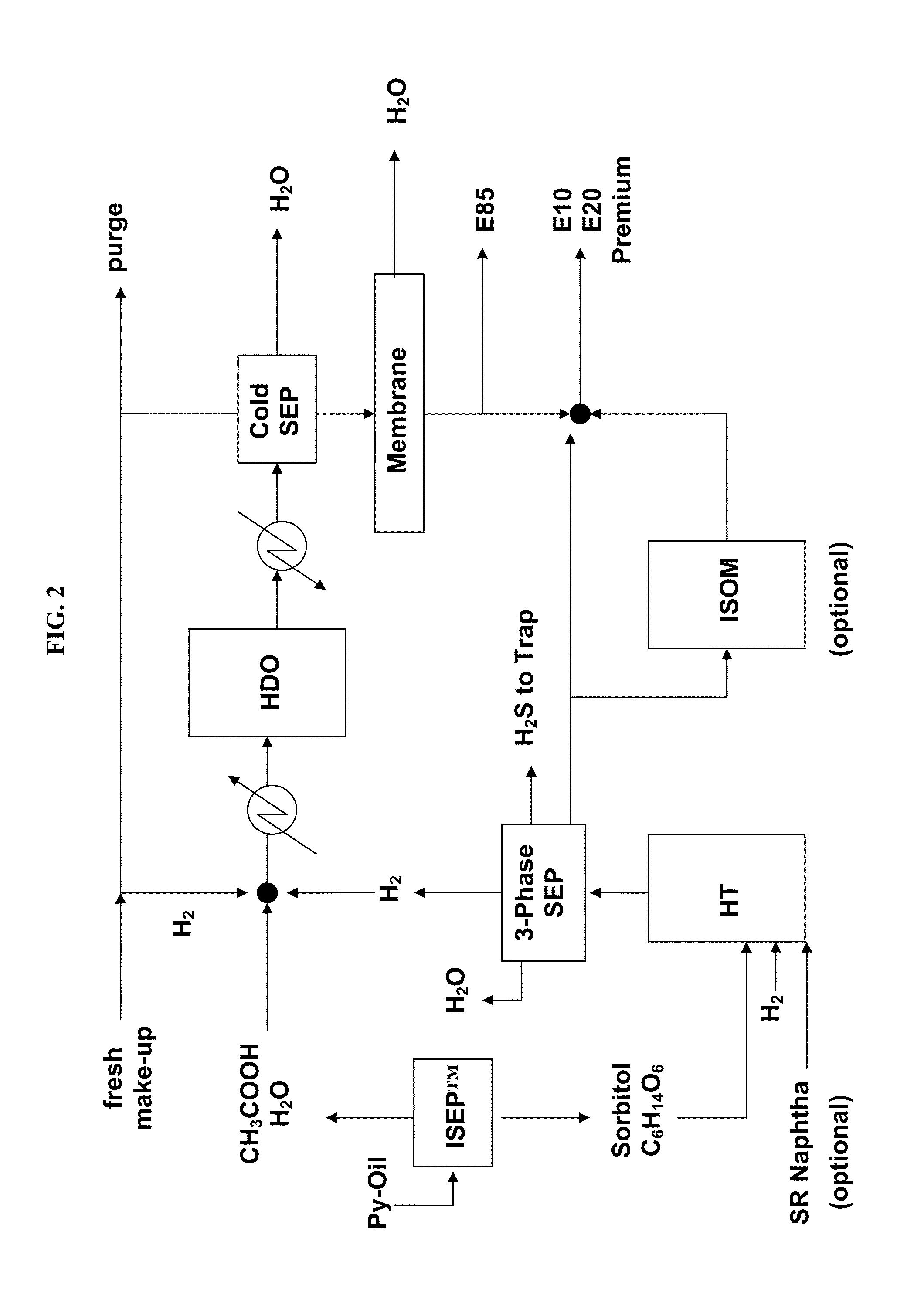 Advanced cellulosic renewable fuels