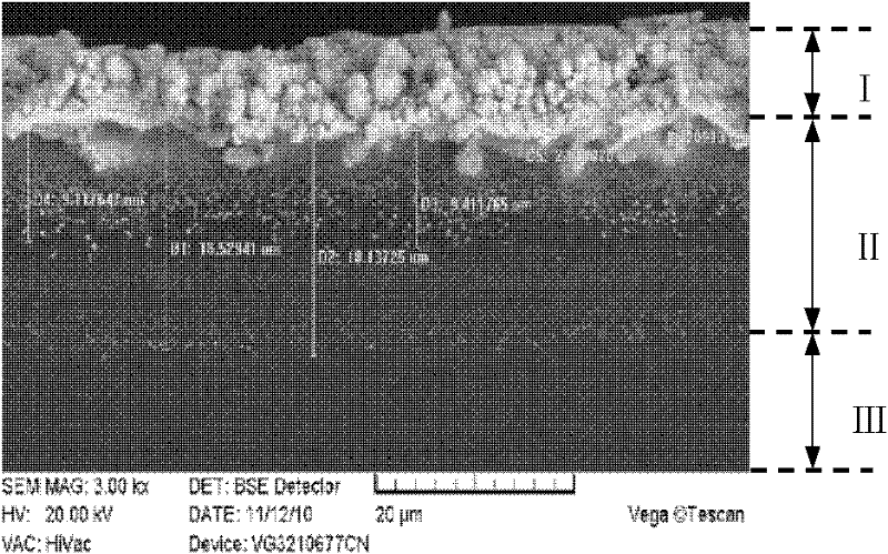 Preparation process of palladium electrode ion polymer and metal composite