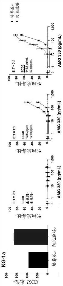 Combination of epigenetic factors and bispecific compounds targeting CD33 and CD3 in the treatment of myeloid leukemia