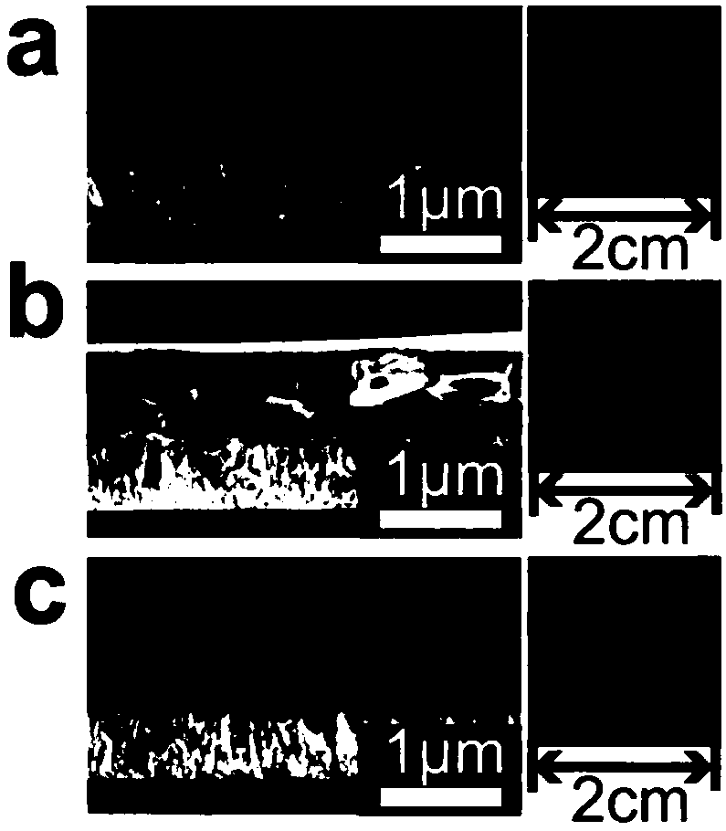 Method for improving stability of perovskite device