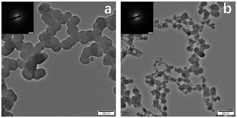 Mineralized material for preventing and treating dentin hypersensitivity and resisting caries as well as preparation method and application of mineralized material