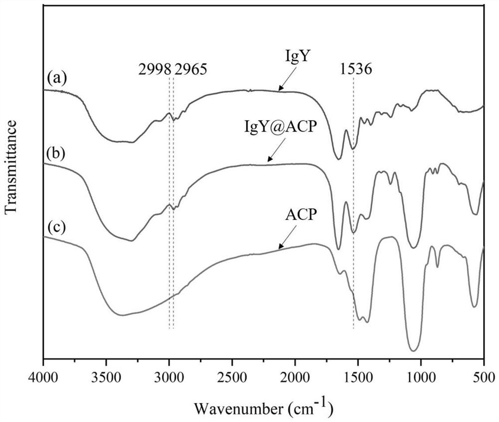 Mineralized material for preventing and treating dentin hypersensitivity and resisting caries as well as preparation method and application of mineralized material