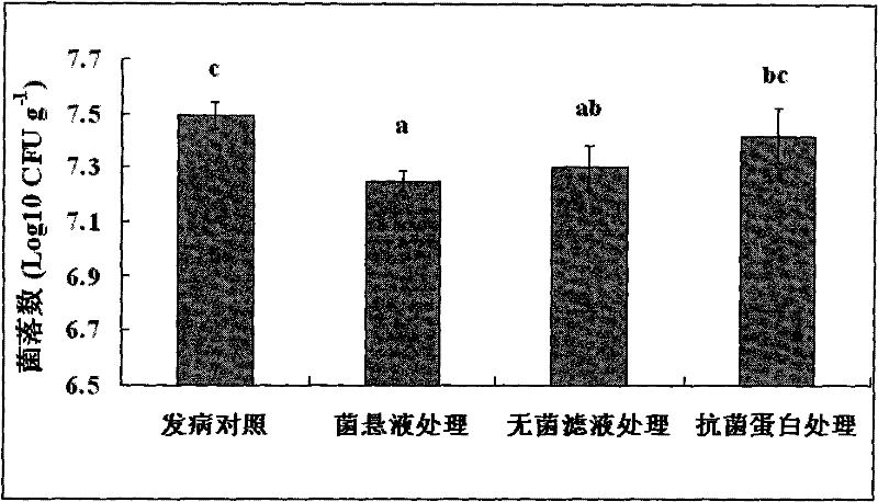 A kind of Paenibacillus macerans for preventing and treating plant bacterial wilt and its application