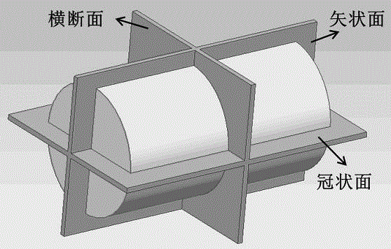 Rapid detection method for magnetic interference of core on low-field nuclear magnetic resonance image