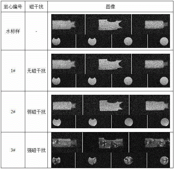 Rapid detection method for magnetic interference of core on low-field nuclear magnetic resonance image