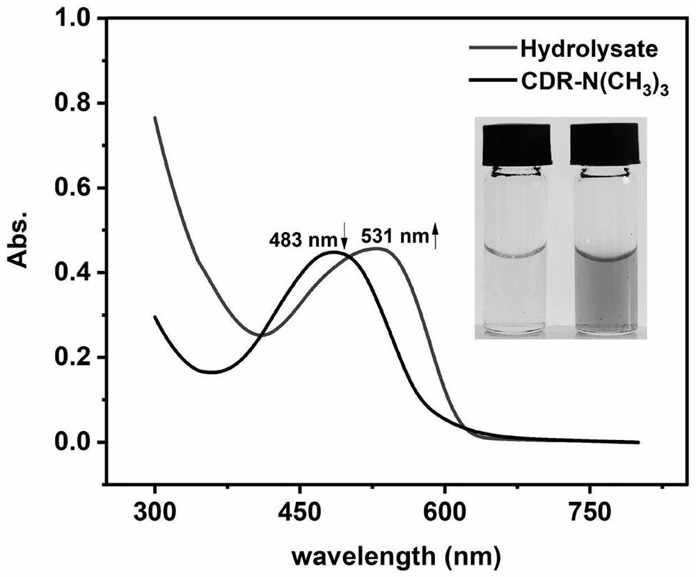 Probe for bacteria resistant to extended-spectrum beta-lactam and cephalosporin antibiotics as well as synthesis method and application of probe