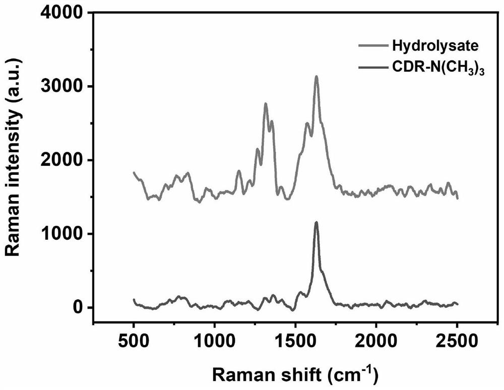 Probe for bacteria resistant to extended-spectrum beta-lactam and cephalosporin antibiotics as well as synthesis method and application of probe