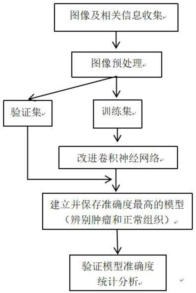 Intelligent prediction method and system for NSCLC lymph node metastasis risk