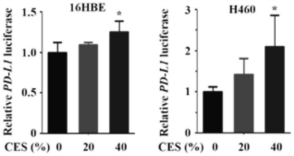 The application of aryl hydrocarbon receptor (ahr) in predicting the effect of immunotherapy