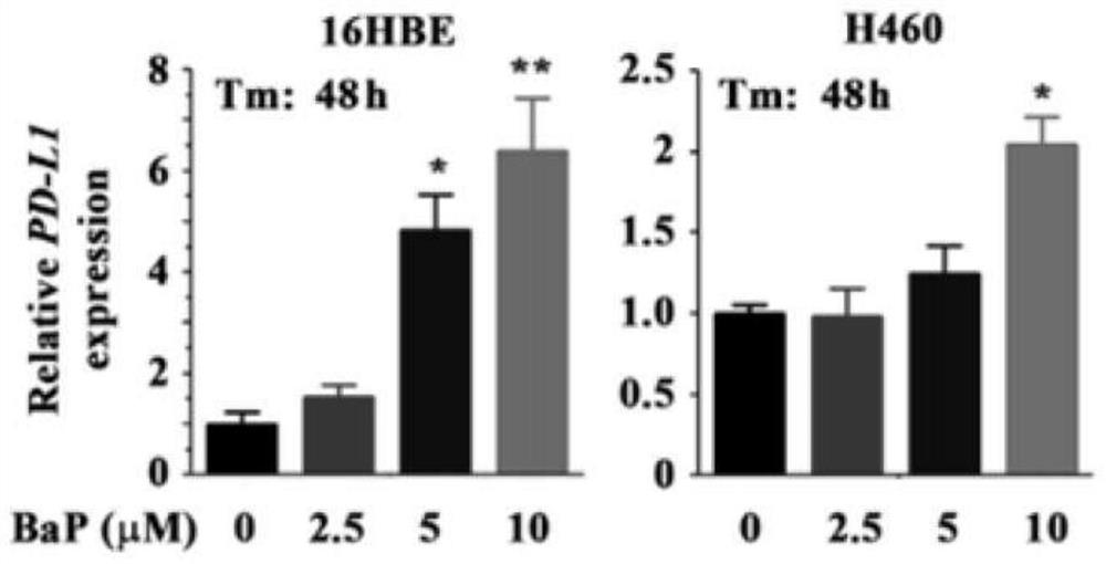 The application of aryl hydrocarbon receptor (ahr) in predicting the effect of immunotherapy