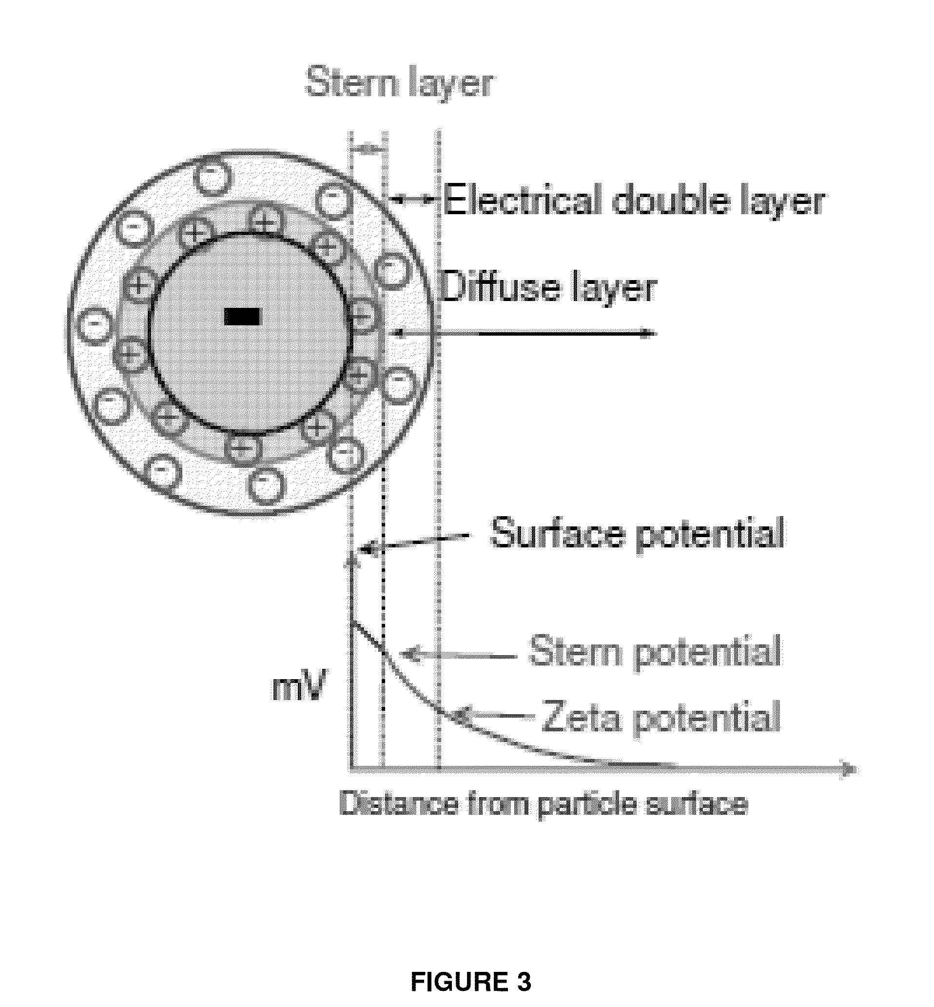 Aqueous processing of composite lithium ion electrode material