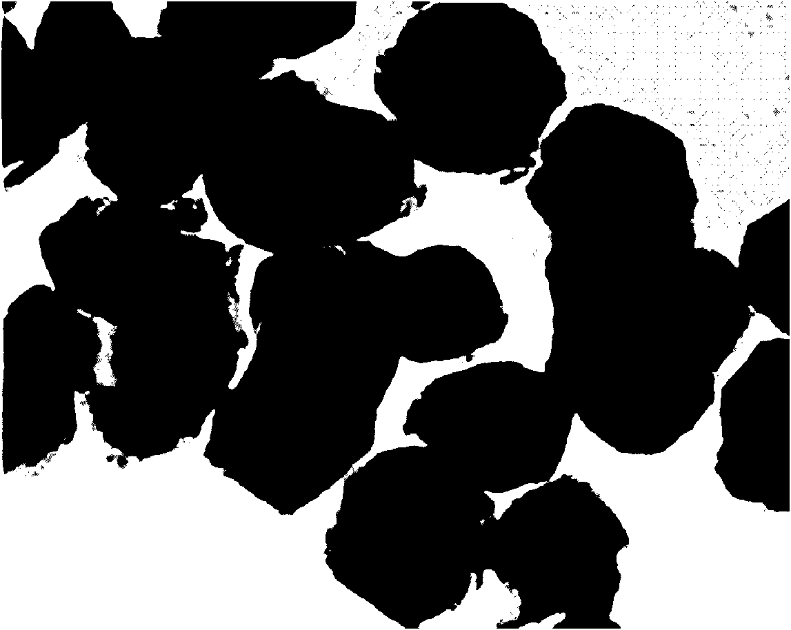 Silicate anodal material for lithium ion battery and preparation method thereof