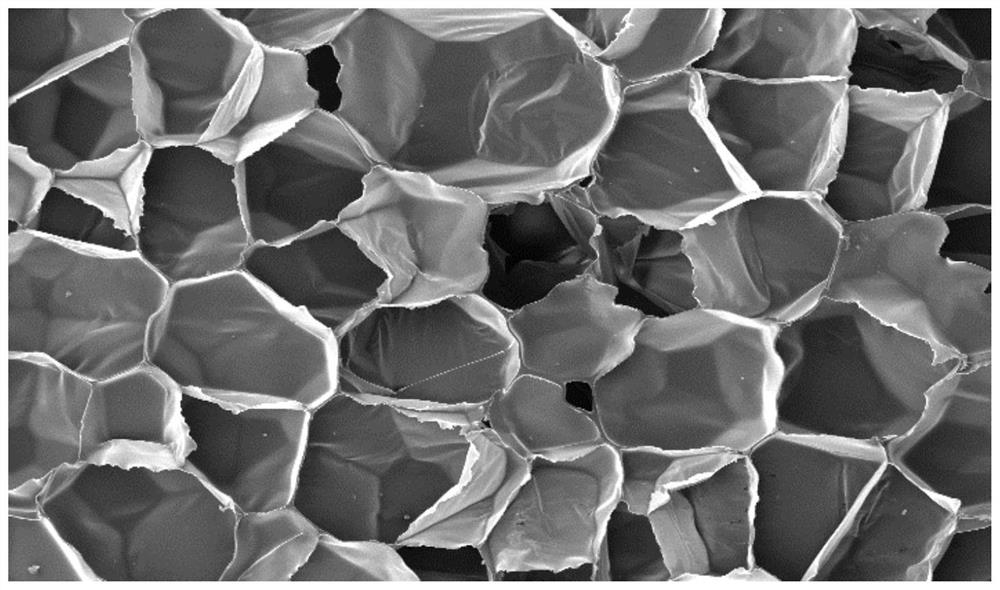 Polypropylene composition, polypropylene resin pellets, polypropylene foamed beads, preparation method thereof, and polypropylene foamed beads molded body