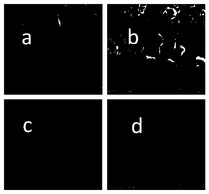 Synthesis method of lithium extraction adsorbent