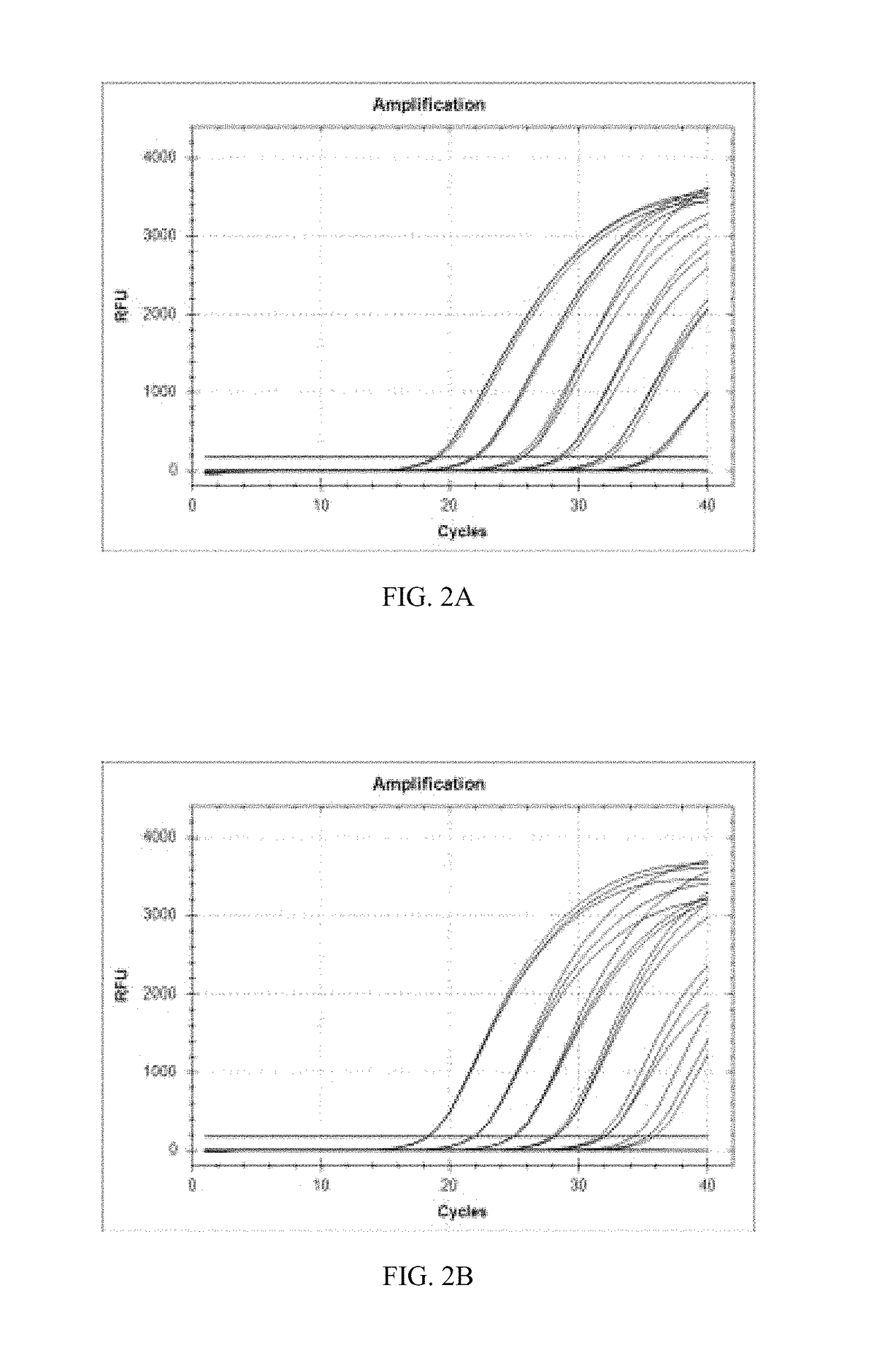 Primers and probes for detection and discrimination of Ebola virus